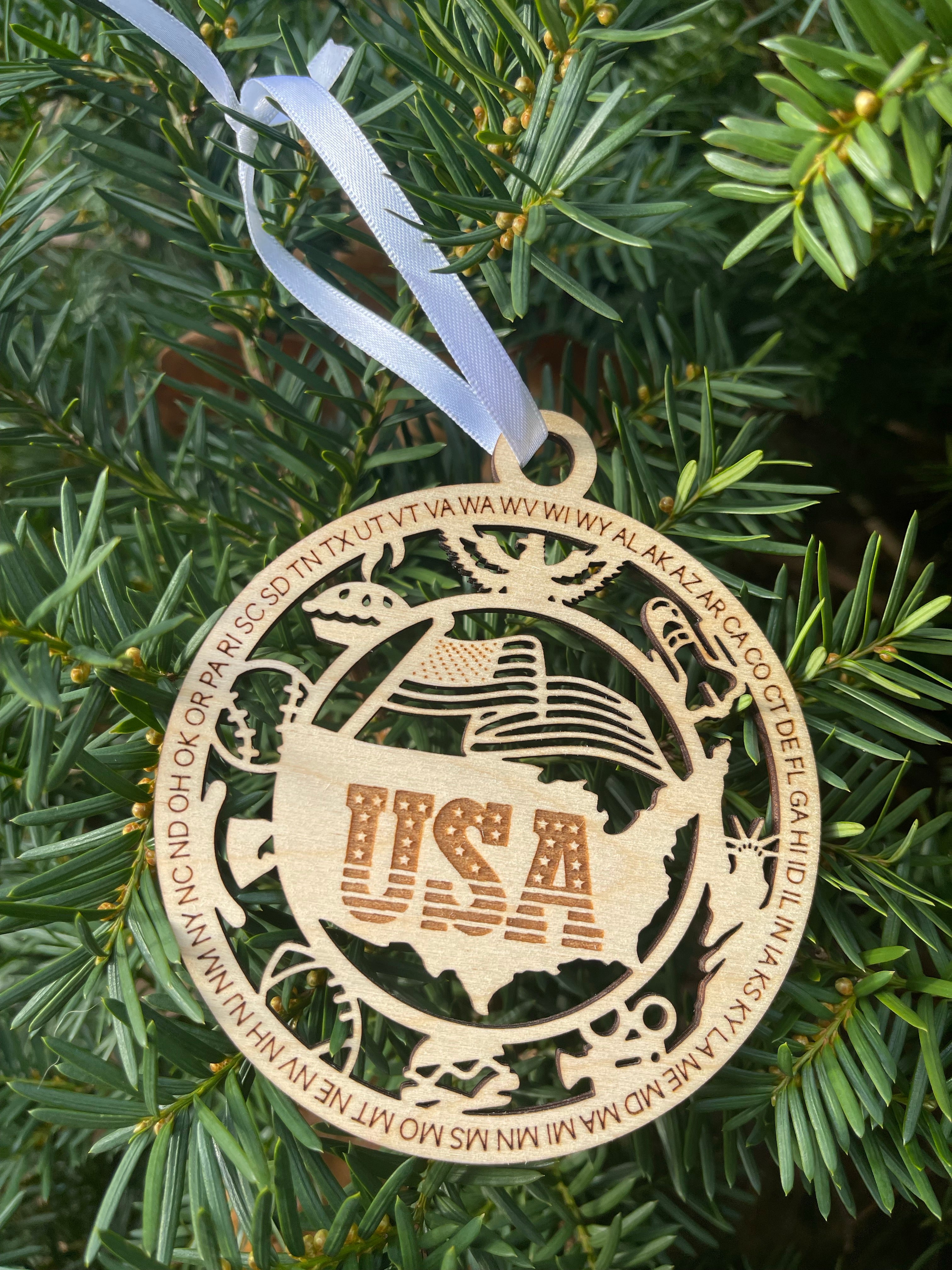 Christmas: USA Ornament