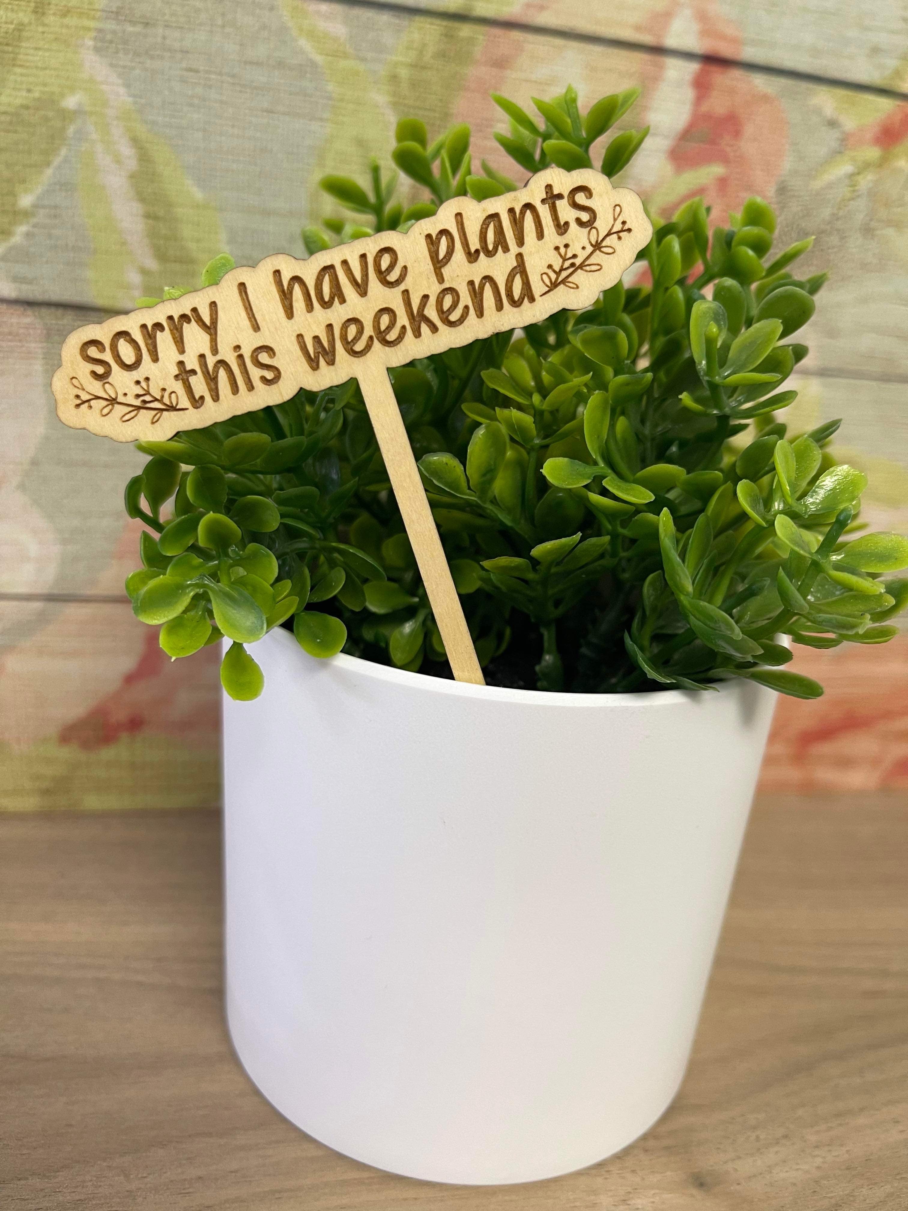 Wooden Funny Plant Markers